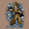 premium07.gif (58636 byte)